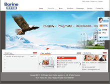 Tablet Screenshot of borine.com